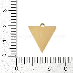 304 Stainless Steel Pendants&nbsp;STAS-I325-118G