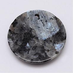 Natural Labradorite Pendants&nbsp;G-G647-46