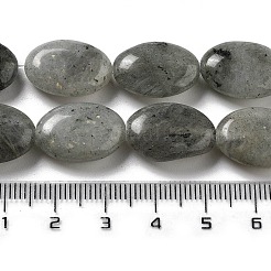 Natural Labradorite Beads Strands&nbsp;G-P528-M10-01