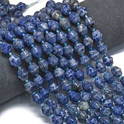 Natural Blue Spot Jasper Beads Strands&nbsp;G-K389-D15-01
