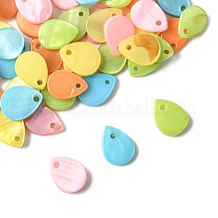 56Pcs 5 Colors Spray Painted Natural Freshwater Shell Teardrop Charms&nbsp;SHEL-FS0001-12