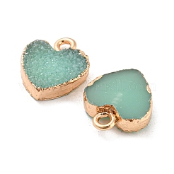 Resin with Golden Zinc Alloy Charms&nbsp;LS-RESI-CJC0009-04D