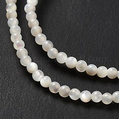 Natural White Shell Beads Strands&nbsp;SHEL-G014-14