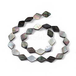 Natural Black Lip Shell Beads Strands&nbsp;SHEL-M018-16