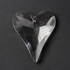 Transparent Glass Big Pendants&nbsp;GLAA-F118-05