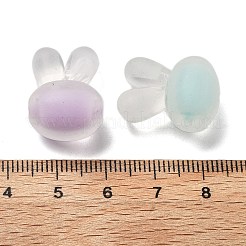 Frosted Transparent Acrylic Beads&nbsp;OACR-A032-21