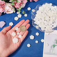 256Pcs 5 Styles Opaque Resin Beads&nbsp;RESI-CA0001-83