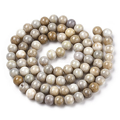 Ombre Effect Dyed Crackle Glass Beads&nbsp;X1-GLAA-T031-10mm-01V