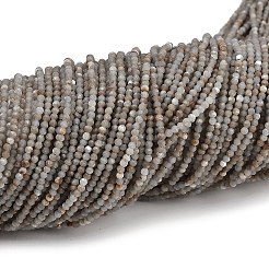 Natural Angelite Beads Strands&nbsp;G-RM2025-A48-A