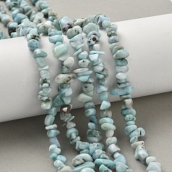 Natural Larimar Beads Strands&nbsp;G-P302-03