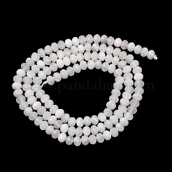 Natural Rainbow Moonstone Beads Strands&nbsp;G-Z058-B01-02A-01