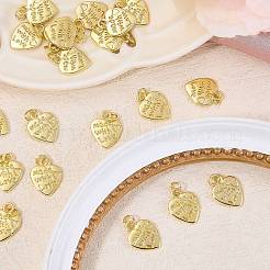 25Pcs Alloy Charms&nbsp;FIND-SZ0019-49