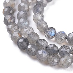 Natural Labradorite Beads Strands&nbsp;X-G-R475-025C