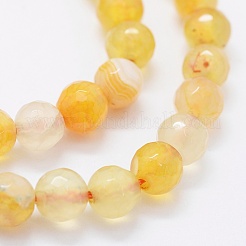 Faceted Natural Agate Beads Strands&nbsp;G-F561-6mm-D06