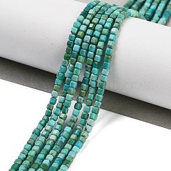 Natural HuBei Turquoise Beads Strands&nbsp;G-H042-B34-01