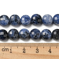 Natural Sodalite Beads Strands&nbsp;G-K351-A03-02