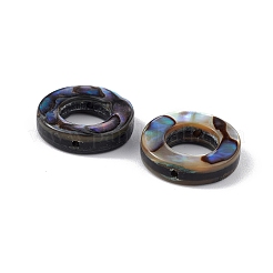Natural Abalone Shell/Paua Shell Beads&nbsp;SSHEL-M021-03