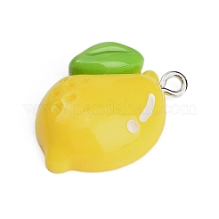 Resin with Alloy Pendants&nbsp;LS-RE-CBA08CD-09A