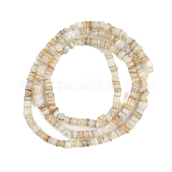 Natural Freshwater Shell Beads Strands&nbsp;BSHE-H109-13A