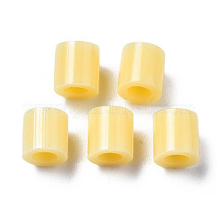 PE Fuse Beads&nbsp;X-DIY-R013-A19
