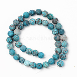 Natural American Turquoise Beads Strands&nbsp;G-S369-001C-A04