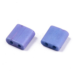 FGB 2-Hole Baking Paint Glass Seed Beads&nbsp;SEED-S031-L-ST1200FR