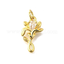 Brass Micro Pave Cubic Zirconia Pendants&nbsp;KK-Z102-04G-01