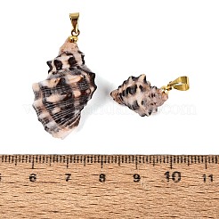 Brass & Natural Spiral Shell Pendants&nbsp;SHEL-Q029-23KCG