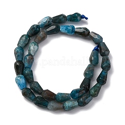 Natural Apatite Beads Strands&nbsp;G-C080-B06-01A