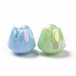 Acrylic Imitation Shell Beads&nbsp;OACR-P011-02G