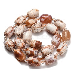 Natural Agate Beads Strands&nbsp;G-F811-B02-02A