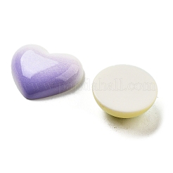 Gradient Color Opaque Resin Decoden Cabochons&nbsp;RESI-S04-02
