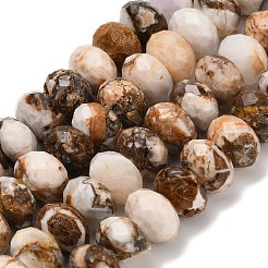 Natural Petrified Wood Beads Strands&nbsp;G-C259-A06-8x12mm-02