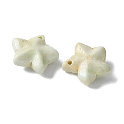 Natural Rainbow Alashan Agate Charms&nbsp;G-G194-02C