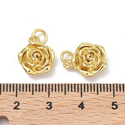 Brass Pendants&nbsp;KK-P345-64G