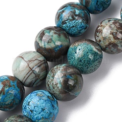 Dyed Natural Ocean Agate/Ocean Jasper Round Beads Strands&nbsp;G-E331-30A