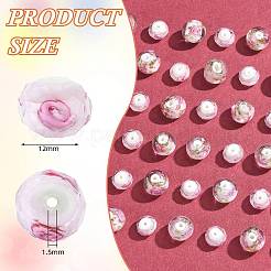 Handmade Lampwork Beads&nbsp;LAMP-SZ0001-43C