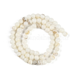 Natural Cultured Freshwater Shell Beads Strands&nbsp;BSHE-H109-03C