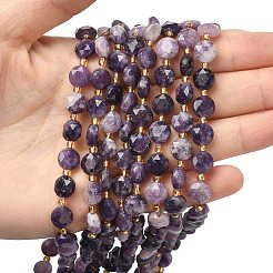 Natural Lepidolite Beads Strands&nbsp;G-C116-A09-02
