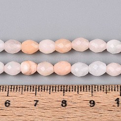 Natural Pink Aventurine Beads Strands&nbsp;G-T142-85