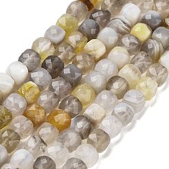 Natural Botswana Agate Beads Strands&nbsp;G-H042-A07-02