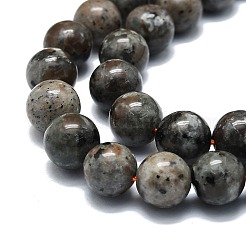 Natural Fluorescent Syenite Rock(Glow under UV Light) Beads Strands&nbsp;G-G789-02C