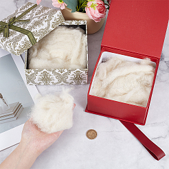 100G Wool Roving&nbsp;DIY-CY0002-75