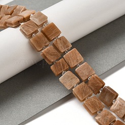 Natural Sunstone Beads Strands&nbsp;G-L596-A09-01