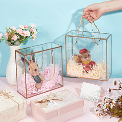 20Pcs Transparent PET Plastic Gift Boxes&nbsp;AJEW-BC0009-80A