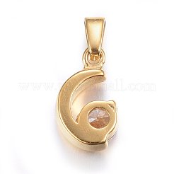 304 Stainless Steel Charms&nbsp;STAS-P216-30G