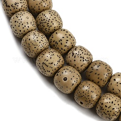 Natural Rudraksha Bodhi Seed Beads Strand&nbsp;WOOD-B010-A03-9x10mm