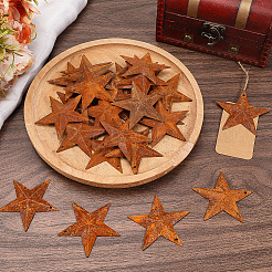 Star Rust Iron Big Pendants&nbsp;IFIN-GF0001-11A
