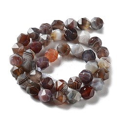 Natural Botswana Agate Beads Strands&nbsp;G-NH0002-C01-03