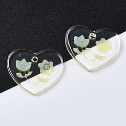 Transparent Resin Pendants&nbsp;RESI-N030-001D